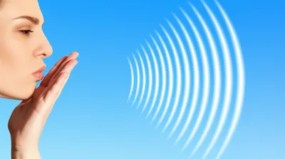 Illustration whistled - Image 1