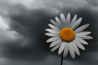 Illustration negating - Image 1