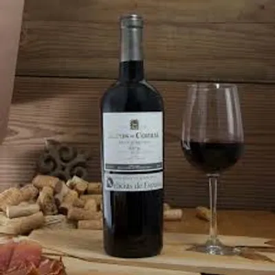 Illustration tent - Image 2