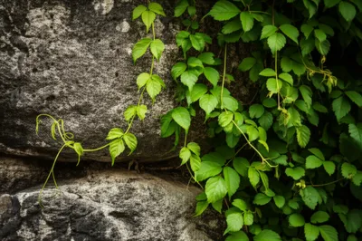 Illustration attached - Image 1