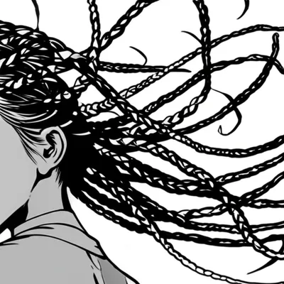 Illustration braids - Image 1