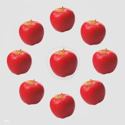 Illustration octuple - Image 1