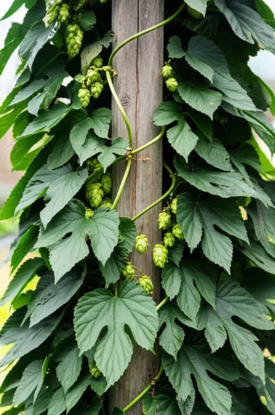 Illustration bind - Image 1