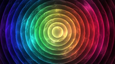 Illustration shells - Image 1