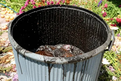 Illustration putrid - Image 1