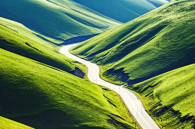 Illustration curving - Image 1