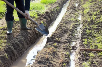 Illustration ditch - Image 1