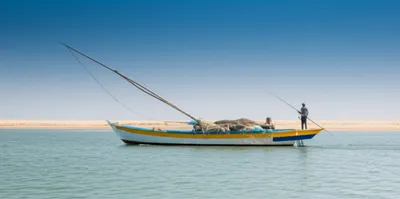 Illustration sharpies - Image 1