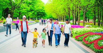 Illustration promenades - Image 1