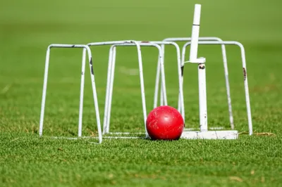 Illustration rover - Image 1