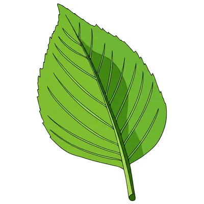 Illustration blade - Image 1