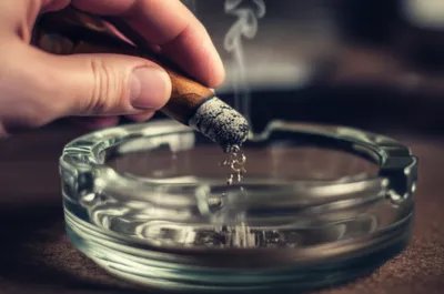 Illustration ashes - Image 1