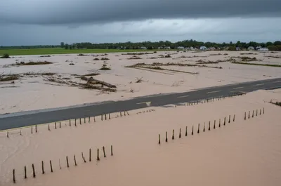 Illustration spate - Image 1