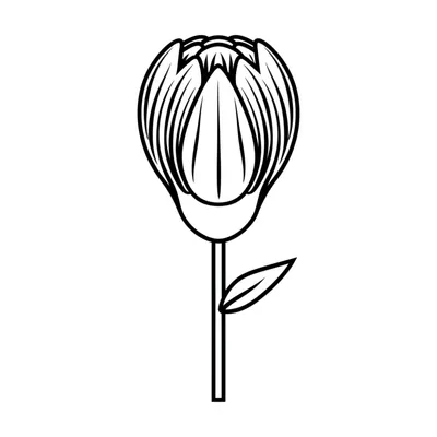 Illustration elaborate - Image 1