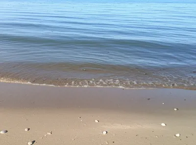 Illustration shoreline