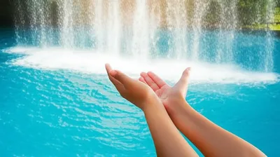 Illustration purges - Image 1