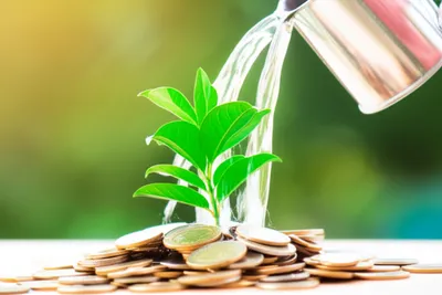 Illustration keeps - Image 1