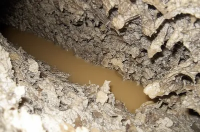 Illustration clog - Image 1