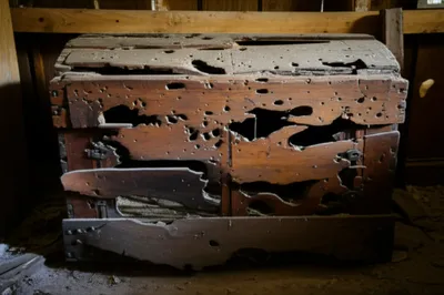 Illustration riddled - Image 1