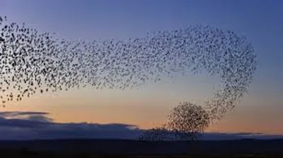 Illustration swarm - Image 2