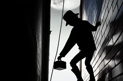 Illustration steals - Image 1