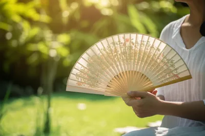 Illustration fans - Image 1