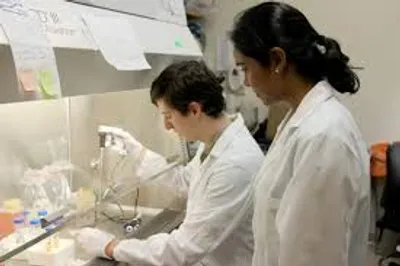 Illustration postdoc - Image 2