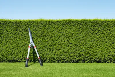 Illustration terminate - Image 1