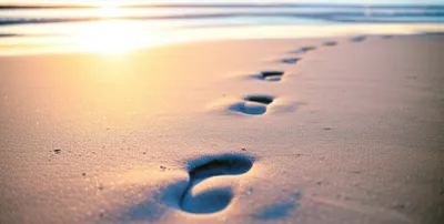 Illustration track - Image 1