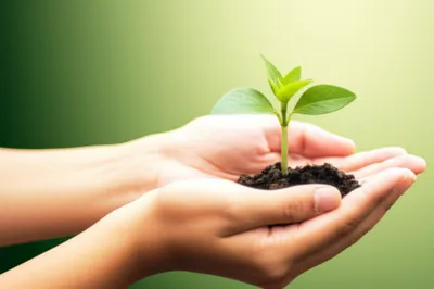 Illustration accommodate - Image 1