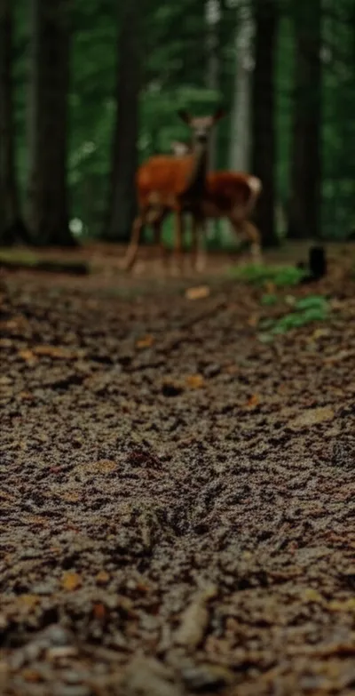 Illustration sign - Image 1