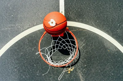 Illustration gutted - Image 1