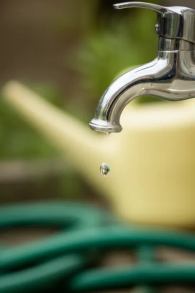 Illustration bibs - Image 1