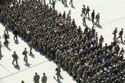 Illustration levy - Image 1