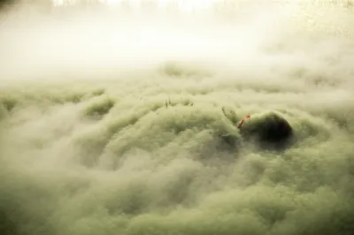 Illustration fogged - Image 1