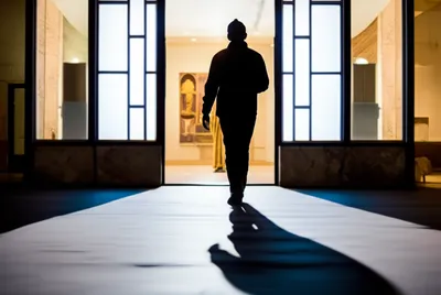 Illustration reverts - Image 1