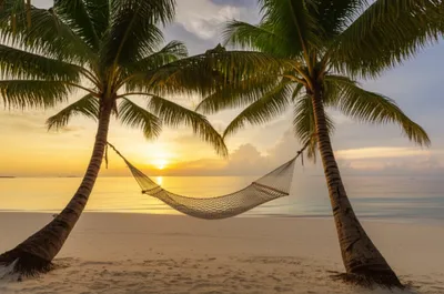 Illustration mellow - Image 1