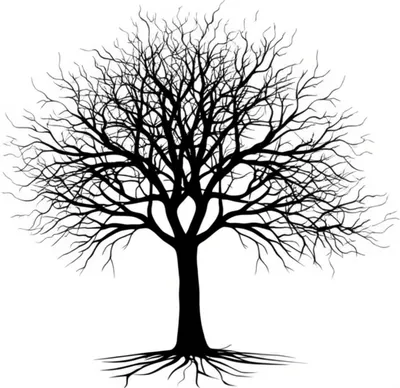 Illustration ramifications - Image 1