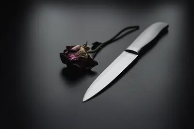 Illustration done - Image 1