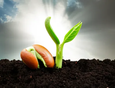 Illustration awakening - Image 1