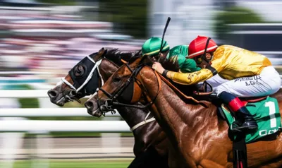 Illustration noses - Image 1