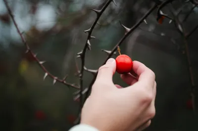 Illustration gamed - Image 1