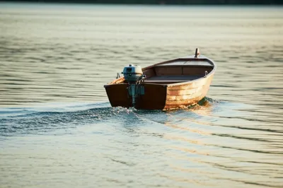 Illustration seagull - Image 1