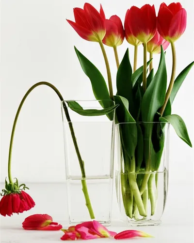 Illustration outstay - Image 1