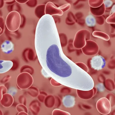 Illustration bands - Image 1