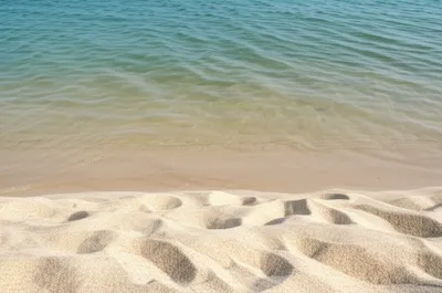 Illustration bare - Image 1