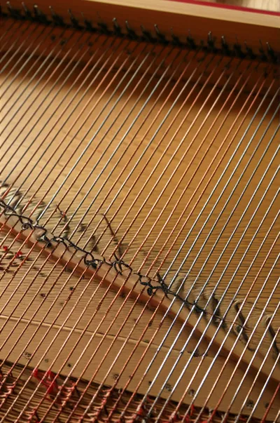 Illustration disposition - Image 1