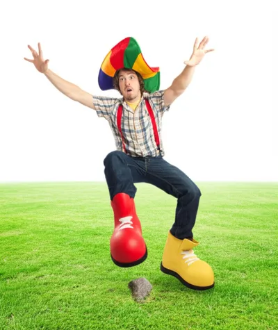 Illustration lapwings - Image 1