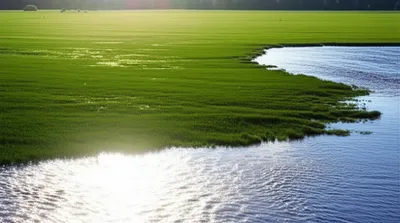 Illustration outflow - Image 1