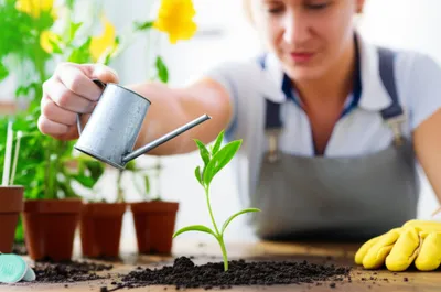 Визуальная иллюстрация слова «patiently» - Терпеливо, с терпением